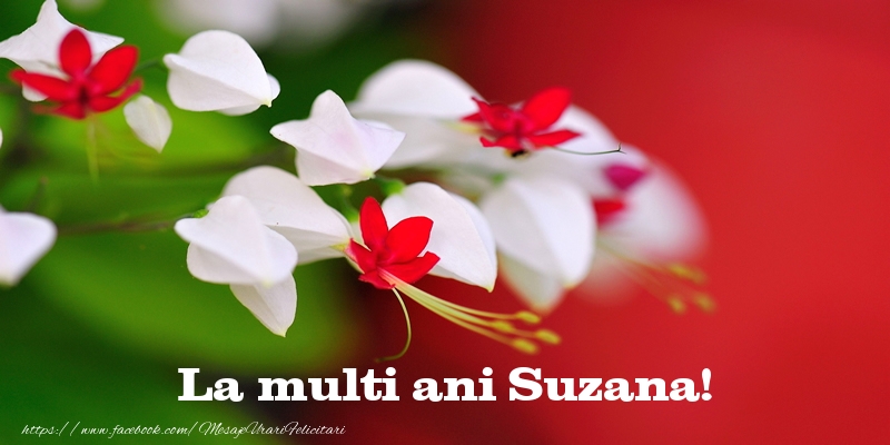  Felicitari de la multi ani - Flori | La multi ani Suzana!