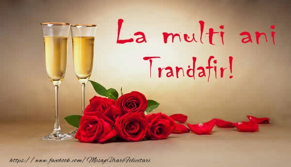  Felicitari de la multi ani - Flori & Sampanie | La multi ani Trandafir!
