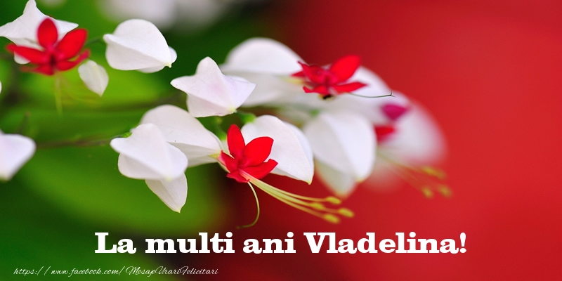  Felicitari de la multi ani - Flori | La multi ani Vladelina!