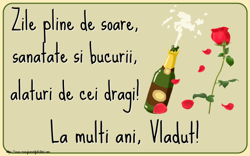 Felicitari de la multi ani - Flori & Sampanie | Zile pline de soare, sanatate si bucurii, alaturi de cei dragi! La multi ani, Vladut!