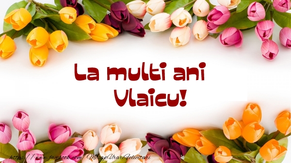  Felicitari de la multi ani - Flori | La multi ani Vlaicu!