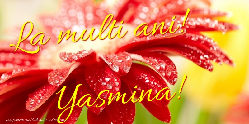 Felicitari de la multi ani - Flori | La multi ani! Yasmina