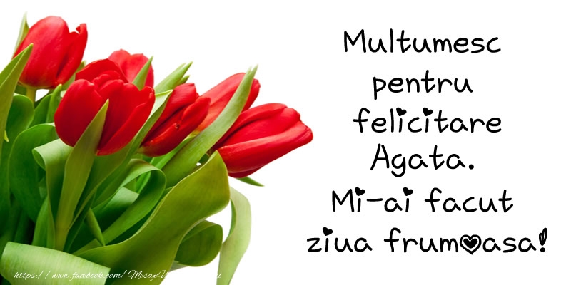 Felicitari de multumire - Lalele | Multumesc pentru  felicitare Agata! Mi-ai facut  ziua frumoasa!