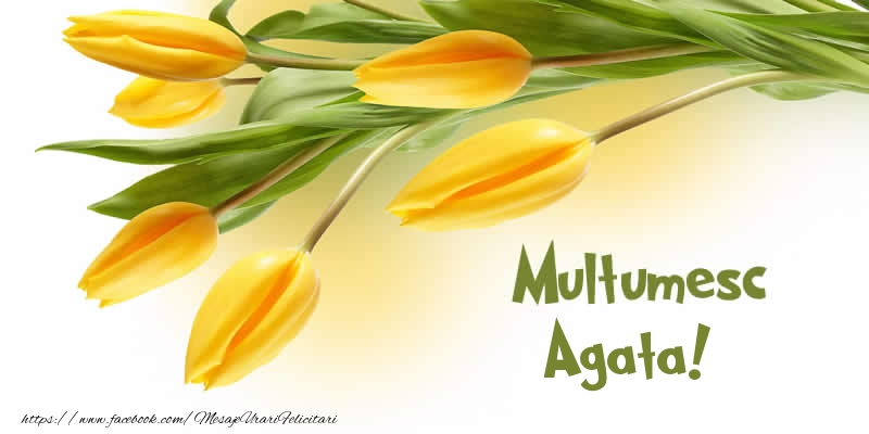 Felicitari de multumire - Multumesc Agata!