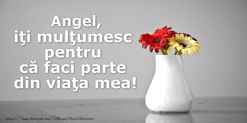 Felicitari de multumire - Buchete De Flori | Angel iti multumesc pentru ca faci parte din viata mea!