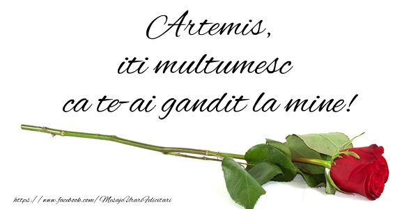 Felicitari de multumire - Trandafiri | Artemis iti multumesc ca te-ai gandit la mine!