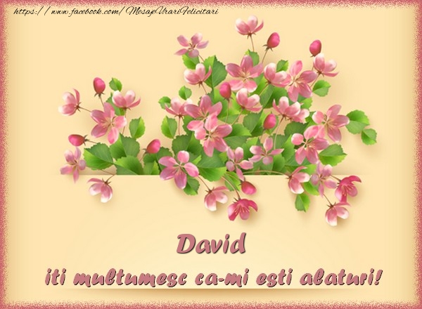  Felicitari de multumire - Flori | David, iti multumesc ca-mi esti alaturi!