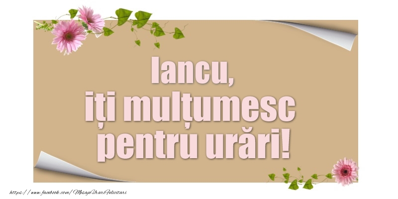  Felicitari de multumire - Flori | Iancu, iți mulțumesc pentru urări!