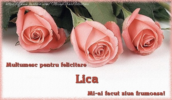 Felicitari de multumire - Multumesc pentru felicitare Lica! Mi-ai facut ziua frumoasa!