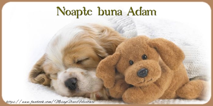  Felicitari de noapte buna - Animație & Ursuleti | Noapte buna Adam