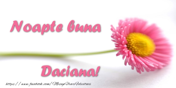  Felicitari de noapte buna - Flori | Noapte buna Daciana!