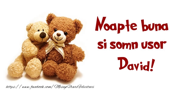  Felicitari de noapte buna - Ursuleti | Noapte buna si Somn usor David!