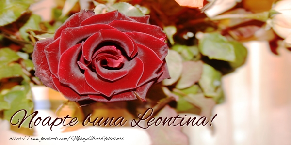  Felicitari de noapte buna - Trandafiri | Noapte buna Leontina!