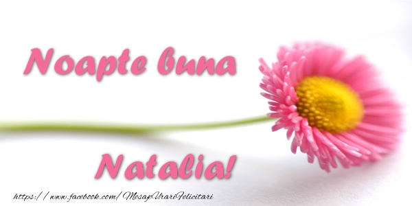  Felicitari de noapte buna - Flori | Noapte buna Natalia!