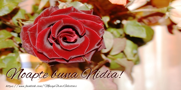  Felicitari de noapte buna - Trandafiri | Noapte buna Nidia!