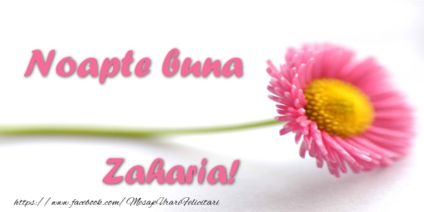  Felicitari de noapte buna - Flori | Noapte buna Zaharia!