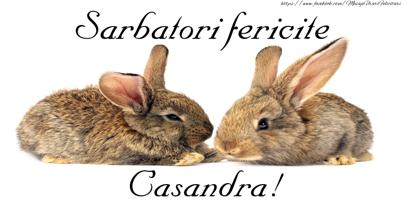  Felicitari de Paste - Iepuras | Sarbatori fericite Casandra!