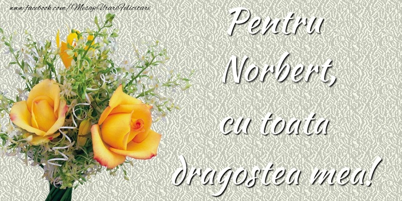  Felicitari de prietenie - Trandafiri | Pentru Norbert,  cu toata dragostea mea!