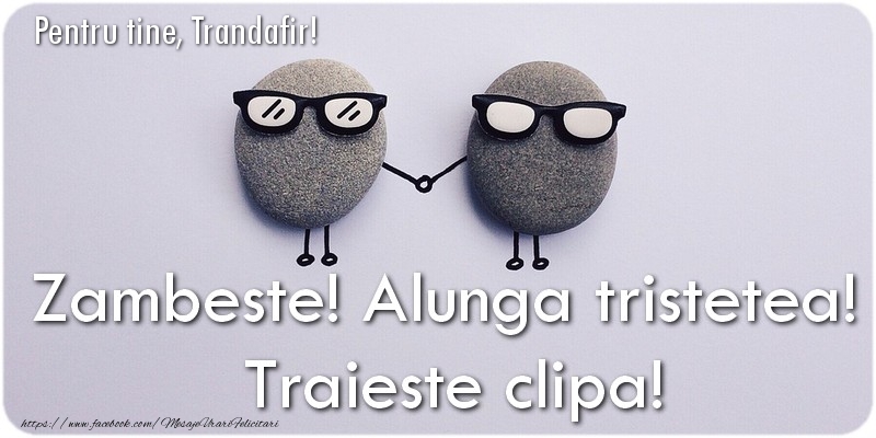  Felicitari de prietenie - Animație | Zambeste! Alunga tristetea!  Traieste clipa! Trandafir