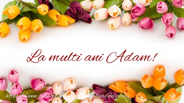  Felicitari de zi de nastere - Flori & Lalele | La multi ani Adam!