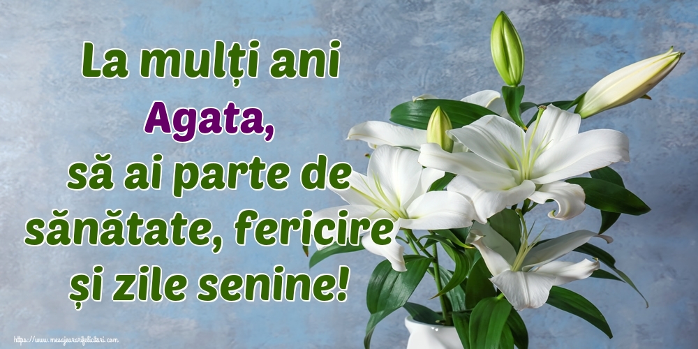  Felicitari de zi de nastere - Flori | La mulți ani Agata, să ai parte de sănătate, fericire și zile senine!