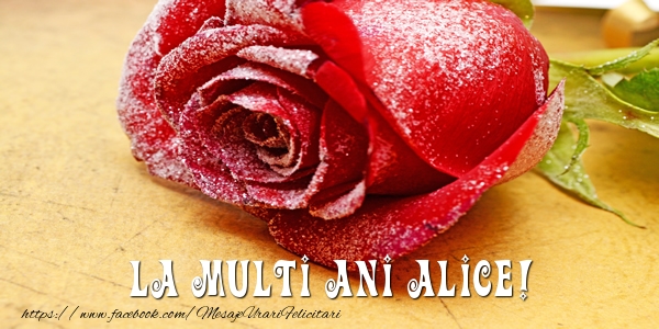  Felicitari de zi de nastere - Flori & Trandafiri | La multi ani Alice!