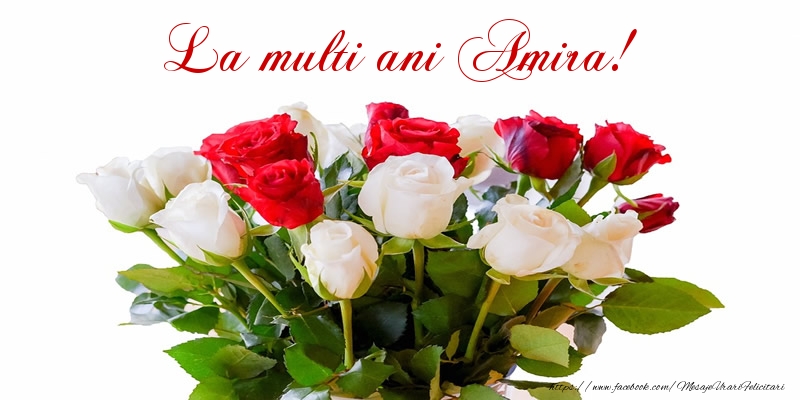  Felicitari de zi de nastere - Buchete De Flori & Flori & Trandafiri | La multi ani Amira!