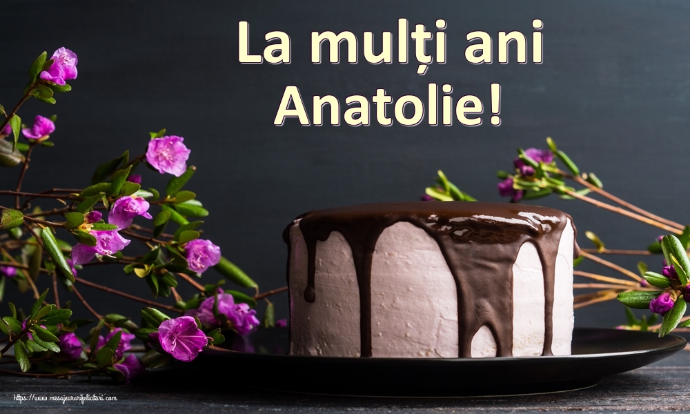  Felicitari de zi de nastere - Tort | La mulți ani Anatolie!