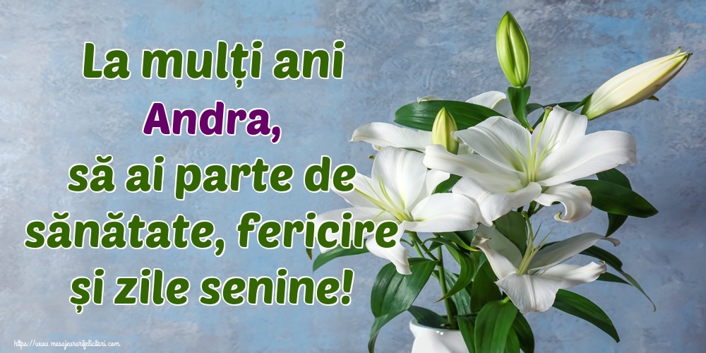  Felicitari de zi de nastere - Flori | La mulți ani Andra, să ai parte de sănătate, fericire și zile senine!