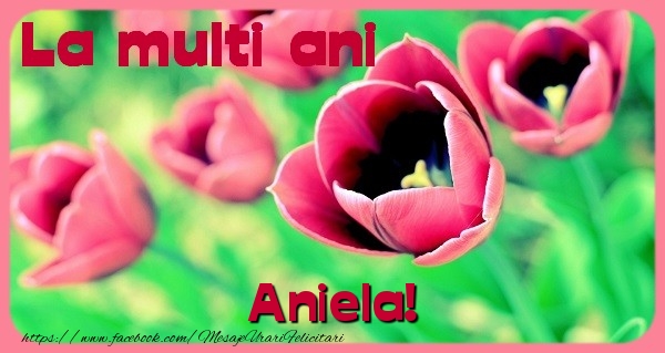  Felicitari de zi de nastere - Flori & Lalele | La multi ani Aniela