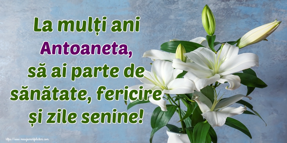  Felicitari de zi de nastere - Flori | La mulți ani Antoaneta, să ai parte de sănătate, fericire și zile senine!