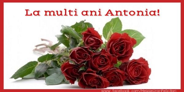  Felicitari de zi de nastere - Flori & Trandafiri | La multi ani Antonia!