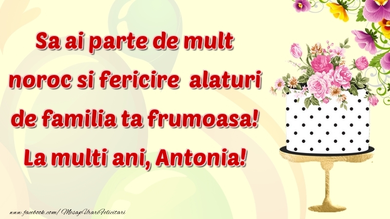  Felicitari de zi de nastere - Flori & Tort | Sa ai parte de mult noroc si fericire  alaturi de familia ta frumoasa! Antonia