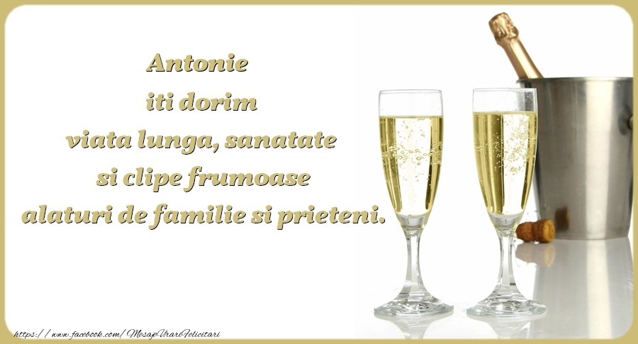 Felicitari de zi de nastere - Antonie iti dorim viata lunga, sanatate si clipe frumoase alaturi de familie si prieteni. Cu drag