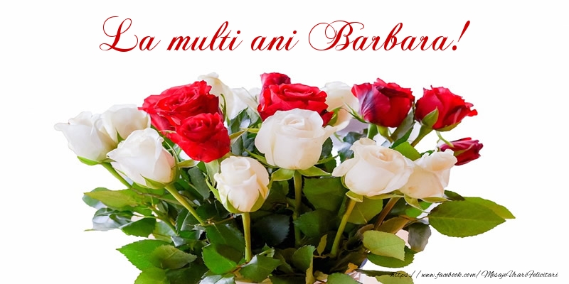 Felicitari de zi de nastere - Buchete De Flori & Flori & Trandafiri | La multi ani Barbara!