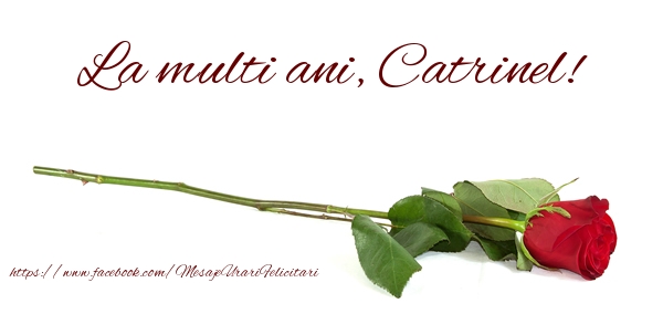  Felicitari de zi de nastere - Flori & Trandafiri | La multi ani, Catrinel!