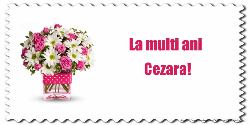  Felicitari de zi de nastere - Buchete De Flori & Flori | La multi ani Cezara!