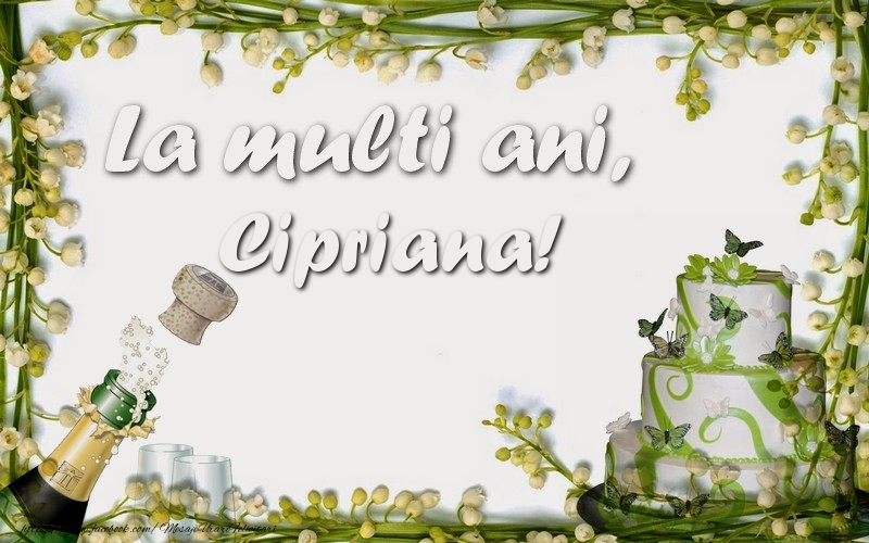 Felicitari de zi de nastere - Sampanie & Tort | La multi ani, Cipriana!