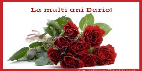  Felicitari de zi de nastere - Flori & Trandafiri | La multi ani Dario!