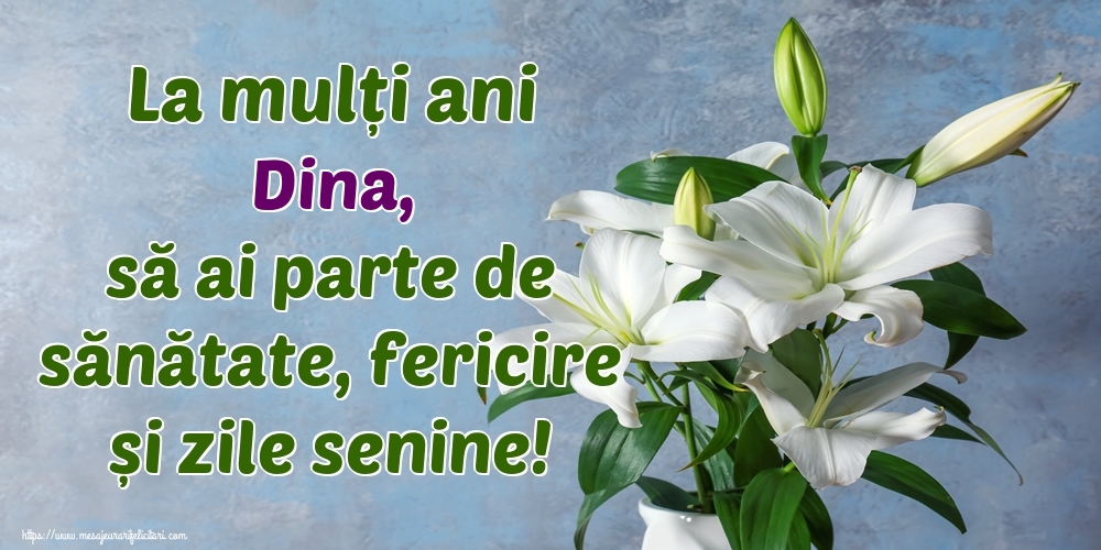  Felicitari de zi de nastere - Flori | La mulți ani Dina, să ai parte de sănătate, fericire și zile senine!
