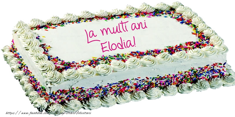 Felicitari de zi de nastere -  Elodia La multi ani tort!