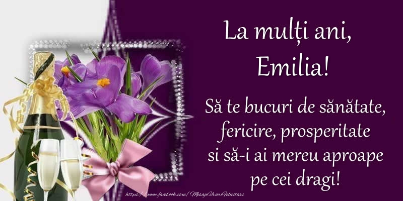 Zi de nastere La multi ani, Emilia! Sa te bucuri de sanatate, fericire, prosperitate si sa-i ai mereu aproape pe cei dragi!