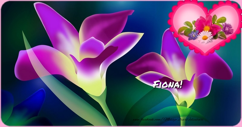  Felicitari de zi de nastere - Flori & 1 Poza & Ramă Foto | Cu ocazia zilei de nastere noi iti dorim  tot binele din lume si mult succes in toate! La Multi Ani, Fiona
