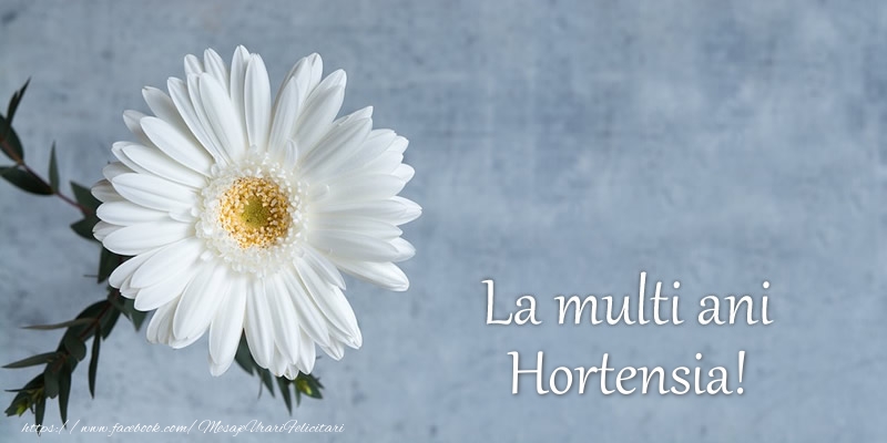 Felicitari de zi de nastere - Flori | La multi ani Hortensia!