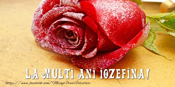 Felicitari de zi de nastere - Flori & Trandafiri | La multi ani Iozefina!