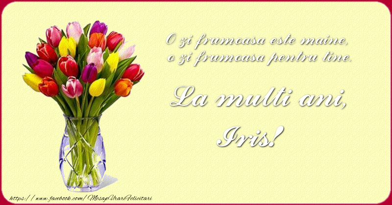 Felicitari de zi de nastere - Buchete De Flori & Flori & Lalele | O zi frumoasu0103 este maine, o zi frumoasu0103 pentru tine. La multi ani Iris