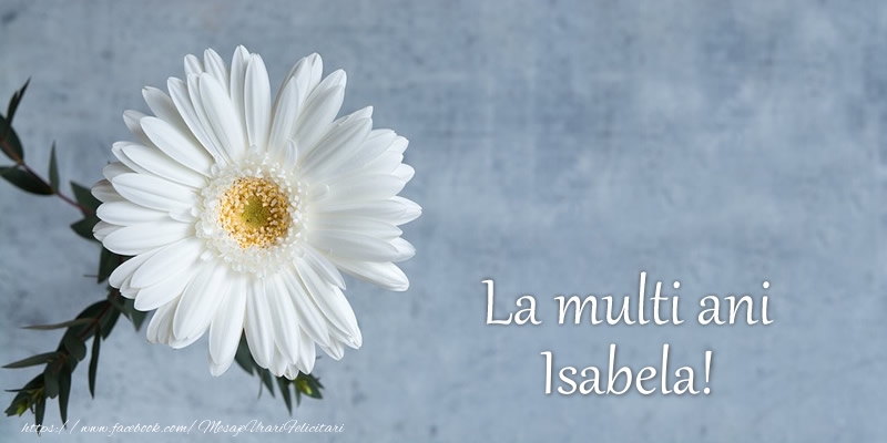  Felicitari de zi de nastere - Flori | La multi ani Isabela!