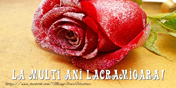  Felicitari de zi de nastere - Flori & Trandafiri | La multi ani Lacramioara!