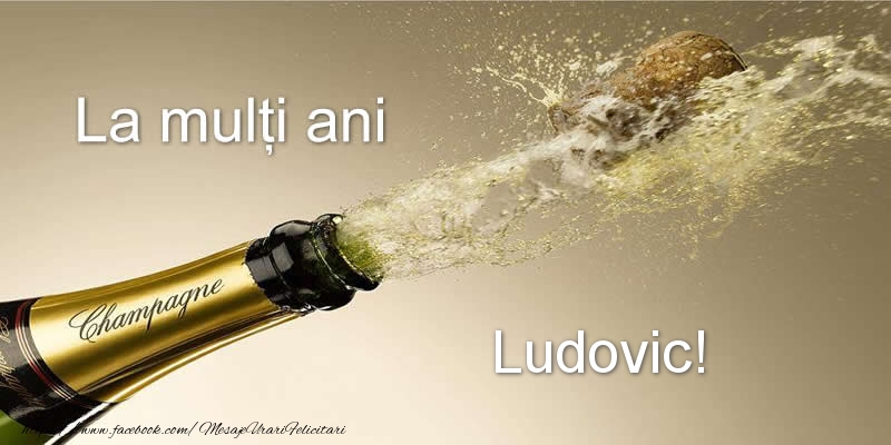 Felicitari de zi de nastere - Sampanie | La multi ani Ludovic!