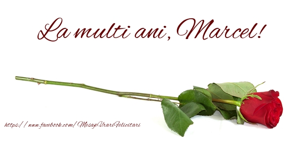  Felicitari de zi de nastere - Flori & Trandafiri | La multi ani, Marcel!
